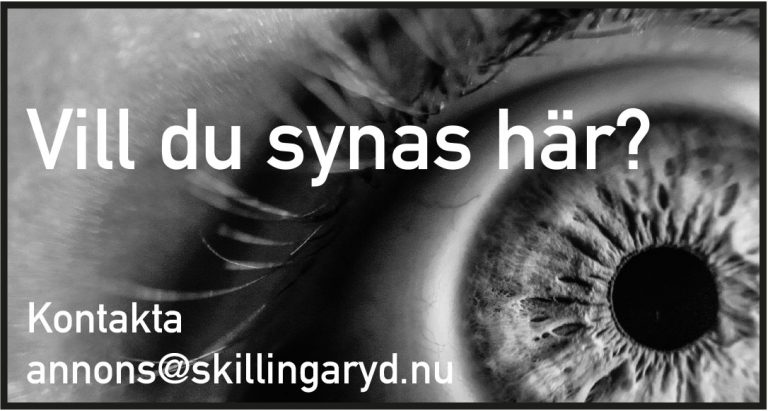 Egen-reklam-synas-har.jpg
